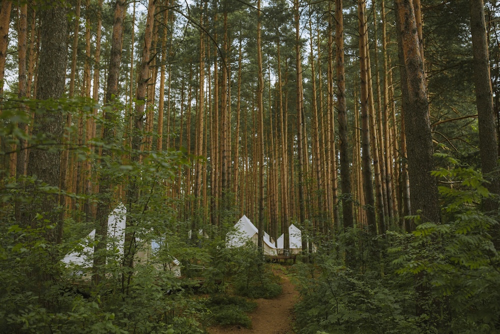 Glamping near ottawa guide for beginners