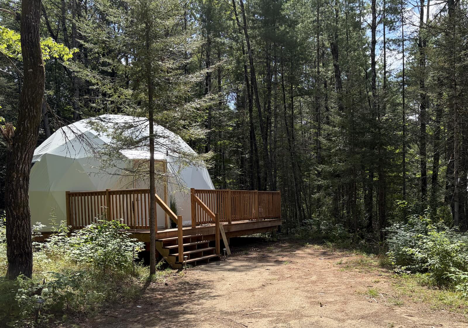 Bear Cave
